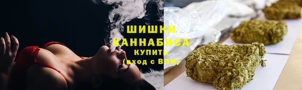 ПСИЛОЦИБИНОВЫЕ ГРИБЫ Лагань