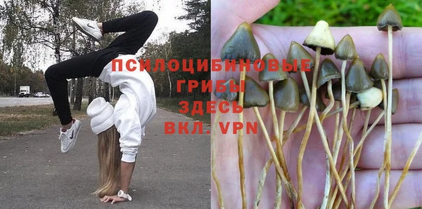 ПСИЛОЦИБИНОВЫЕ ГРИБЫ Лагань
