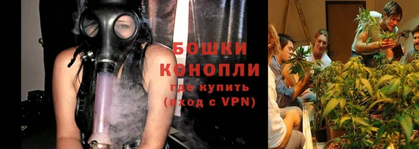 индика Долгопрудный