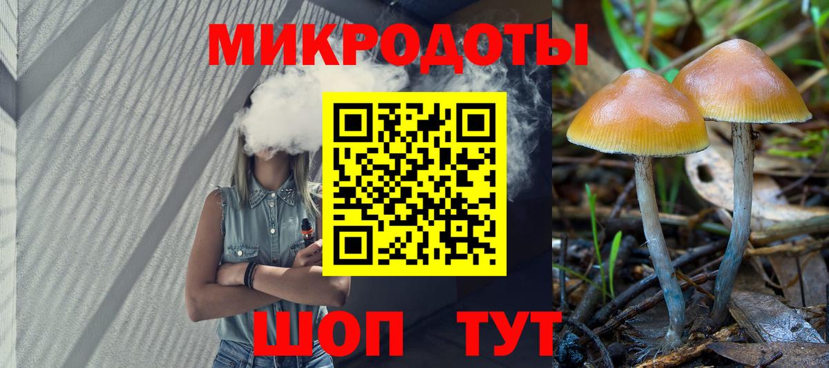 Петровск  цены наркотик  Псилоцибиновые грибы мухоморы  Вход с VPN  Галлюциногенные грибы Psilocybine cubensis 